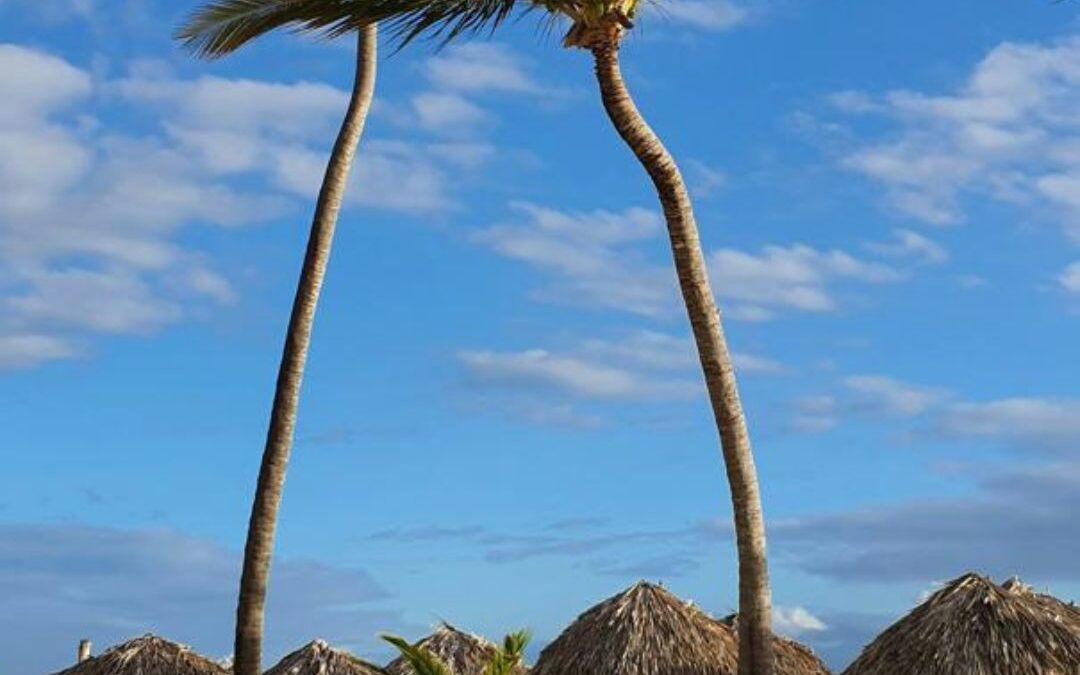 Punta Cana todo incluido